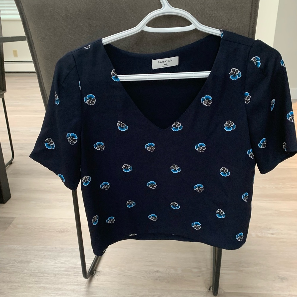 Aritzia Babaton Blouse
